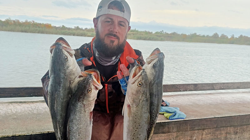 Low Mississippi River levels and cooler temps had the big trout aggressively thumping Chris Bell's bait on a slow retrieve.