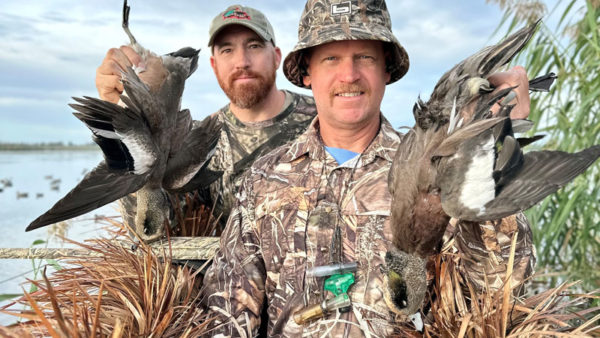 Early waterfowl numbers vary across the state