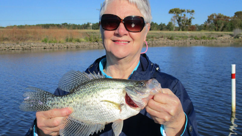 Cathy McCann with a nice sac-a-lait caught on Toledo Bend Lake fishing with Living the Dream Guide Service.