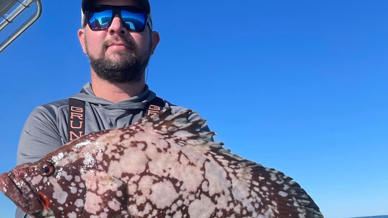 Marbled grouper caught out of Cocodrie
