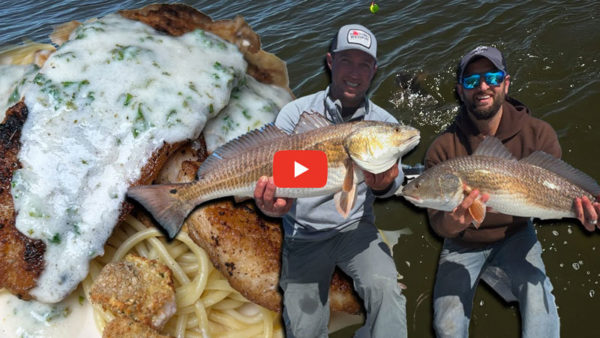 Catch and cook: The redfish were stacked up