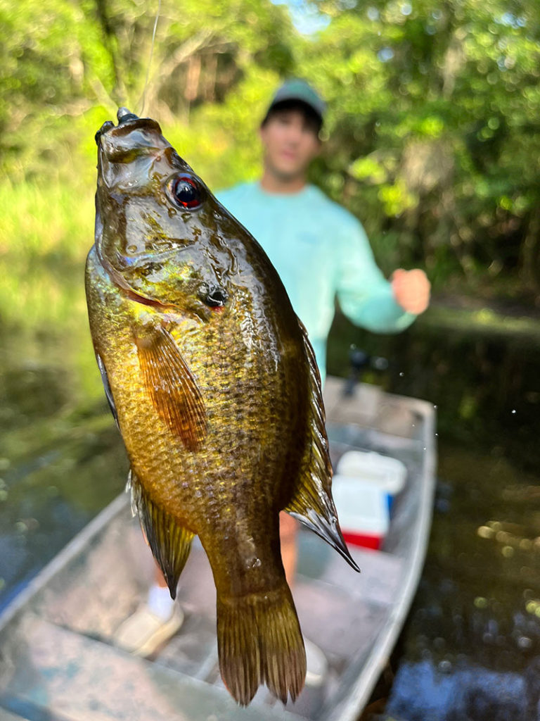 Louisiana Sportsman