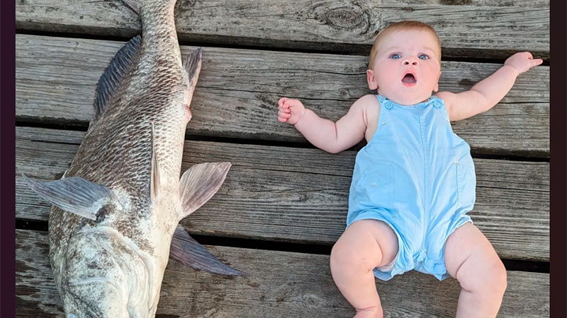 Elliott LeBlanc, 6 months old, laying beside a black drum caught by Alex Lamb off a pier in Lafitte.