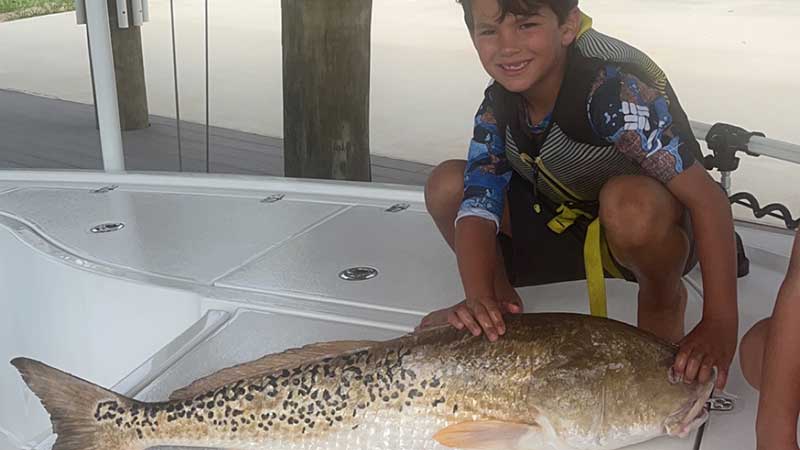 Beckham Hebert, 6, caught this beautiful leopard redfish in Grand Isle on July 7, 2023.