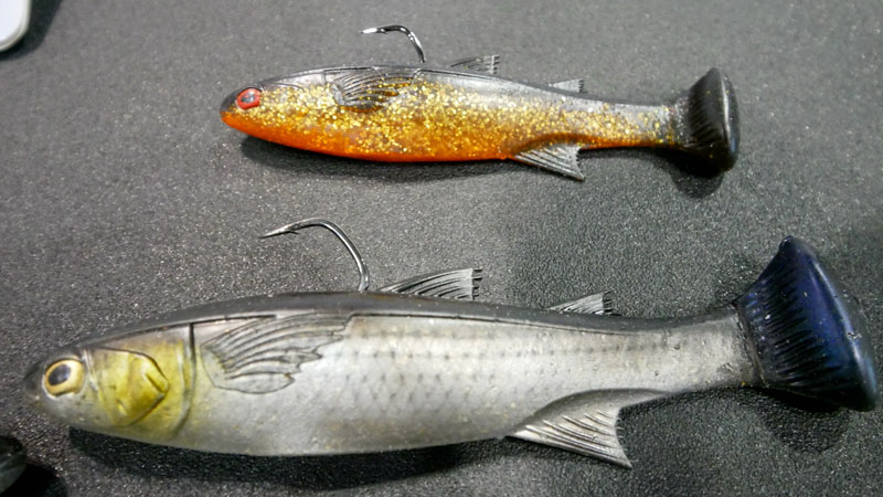 fish mountain accent トラウジョン Costa TUNA ALLEY Readers | Yellow Dog Flyfishing