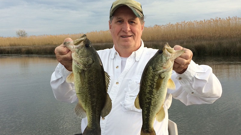Two bass for Walter Jewell
