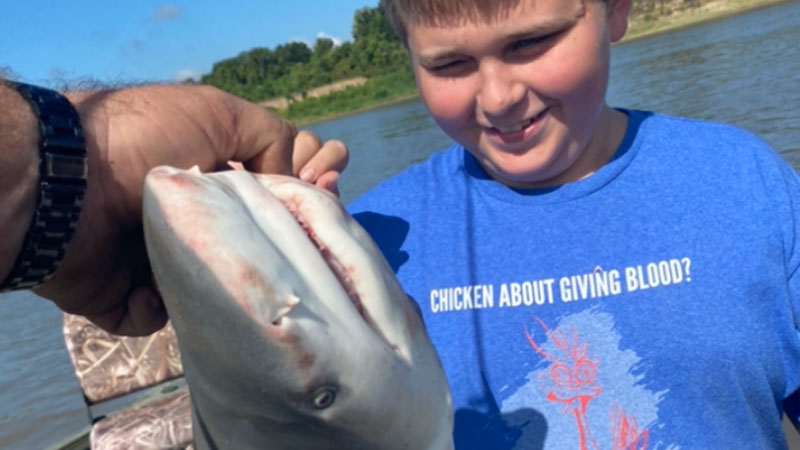 This shark was caught by Drew Moreau, 12, of Simmesport.