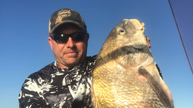 John White was fishing offshore out of Grand Isle when he caught this black drum on a 3-ounc jig tipped with dead shrimp.