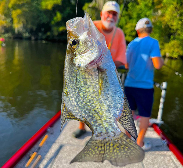 Louisiana Sportsman