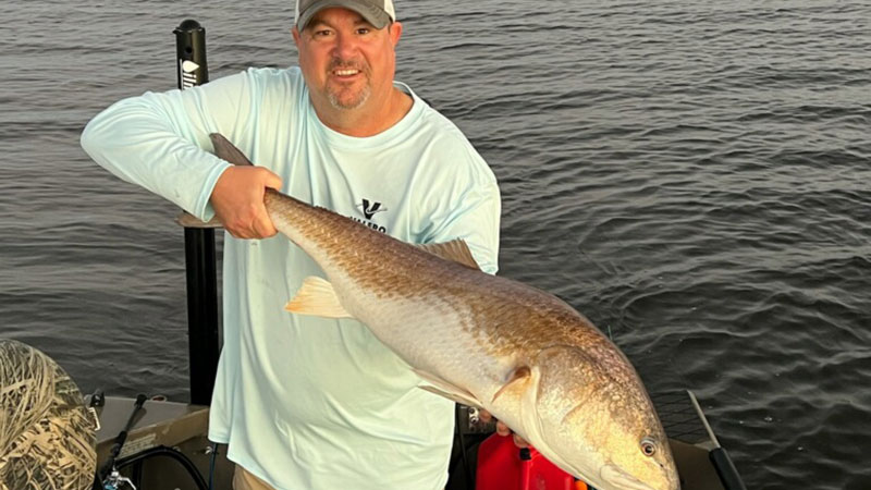 Chris Russo's big bull red
