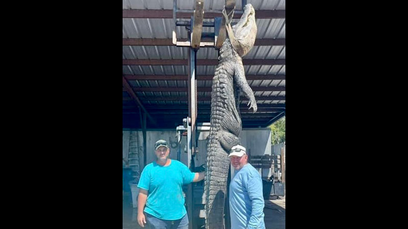 Brady and Brian with Richard K. Yancey alligator