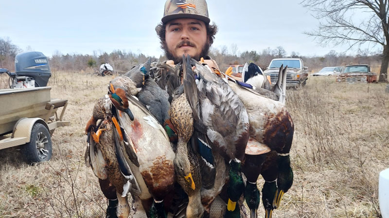 Arkansas ducks