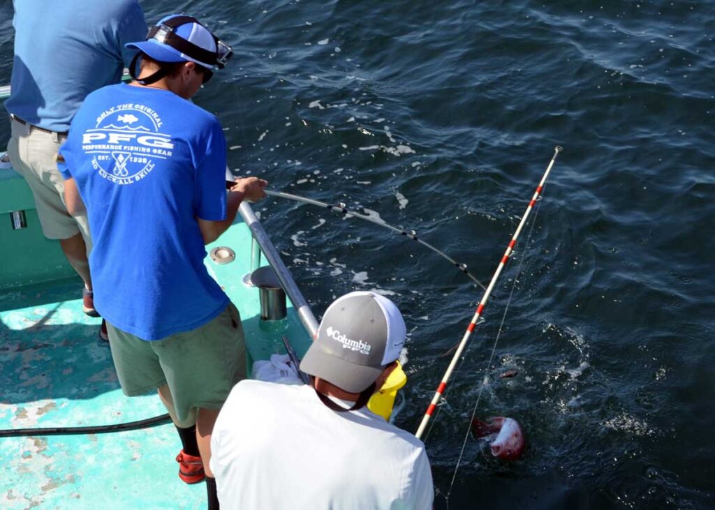 Louisiana Sportsman