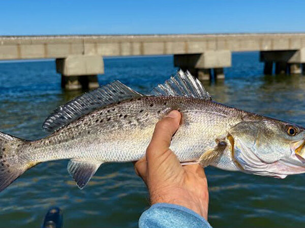 James Cook Hogs Louisiana Sportsman