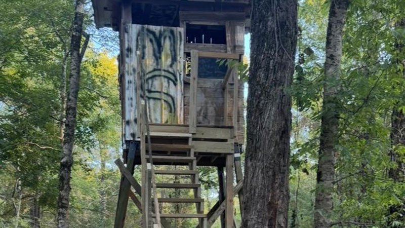 I am 69 years old and I have been hunting in central Louisiana for 65 years. This is my story.