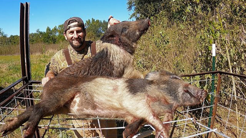 Louisiana Sportsman Louisiana Sportsman