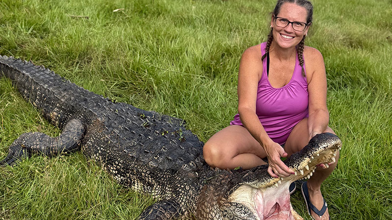Amanda Laffoon's alligator