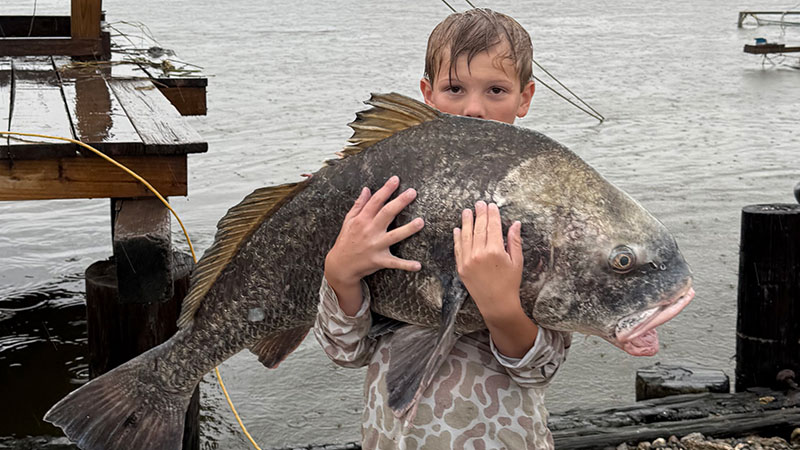 Bohen Anthony's big fish