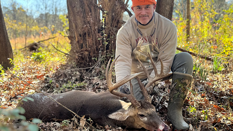David Hardin's 11-point