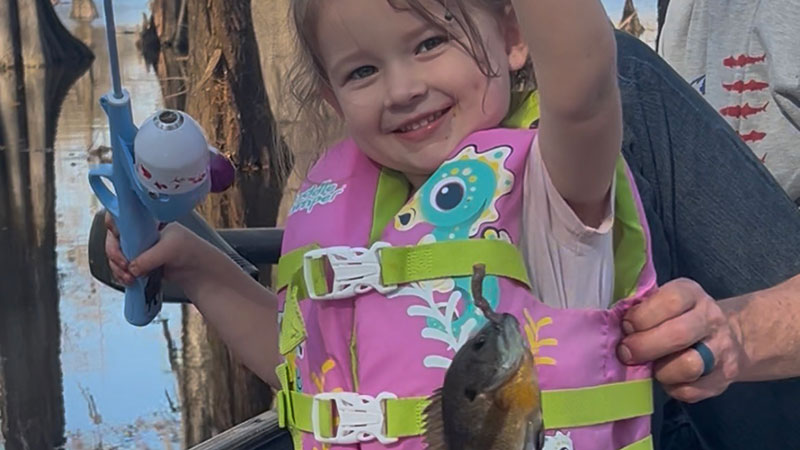 Wrenlee Clinton's bream