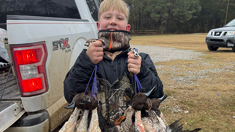 Maddox Book with pintails