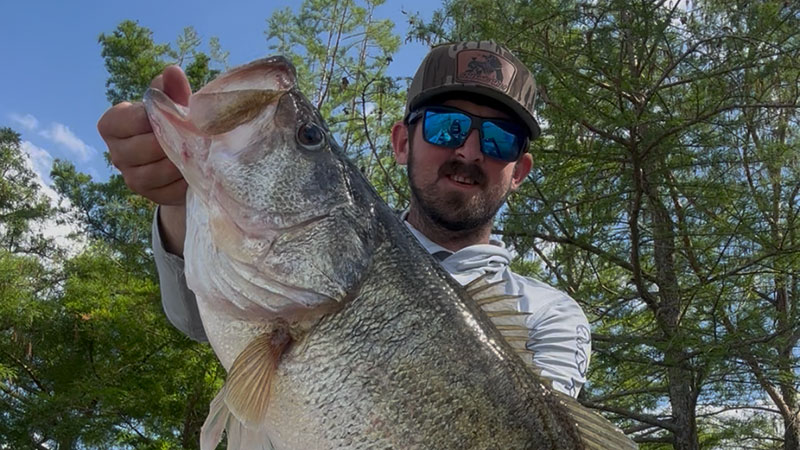 Austin Cruse's lunker bass