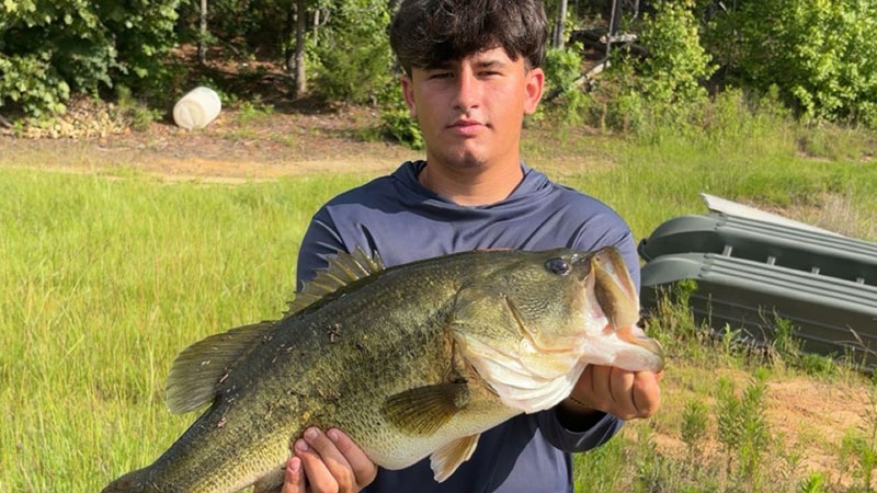 Ian Otero's double-digit bass