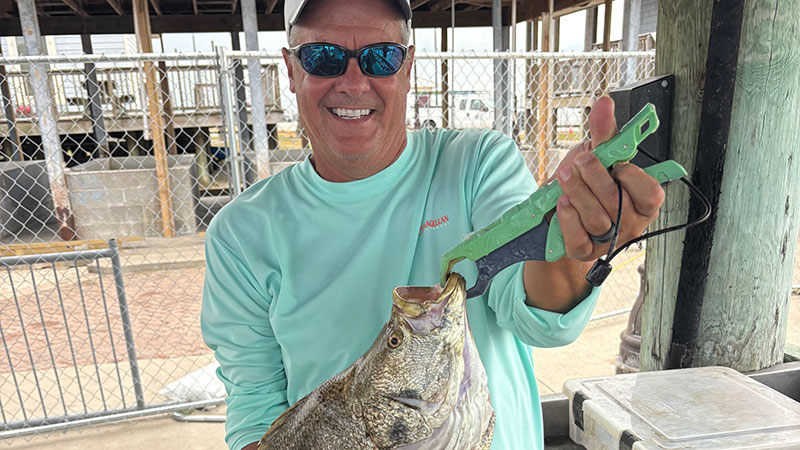Anthony Manuel's tripletail
