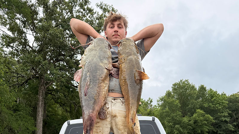 Ouachita River flatheads
