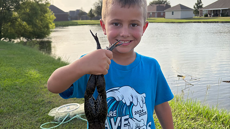 Easton Victoriano's bullfrog