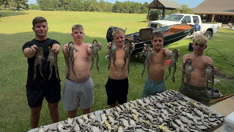 July frogging trip