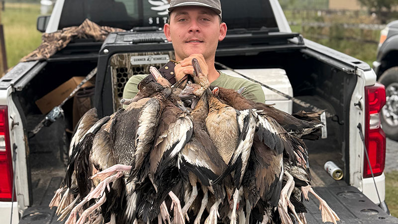 Trevor Huval's early season ducks
