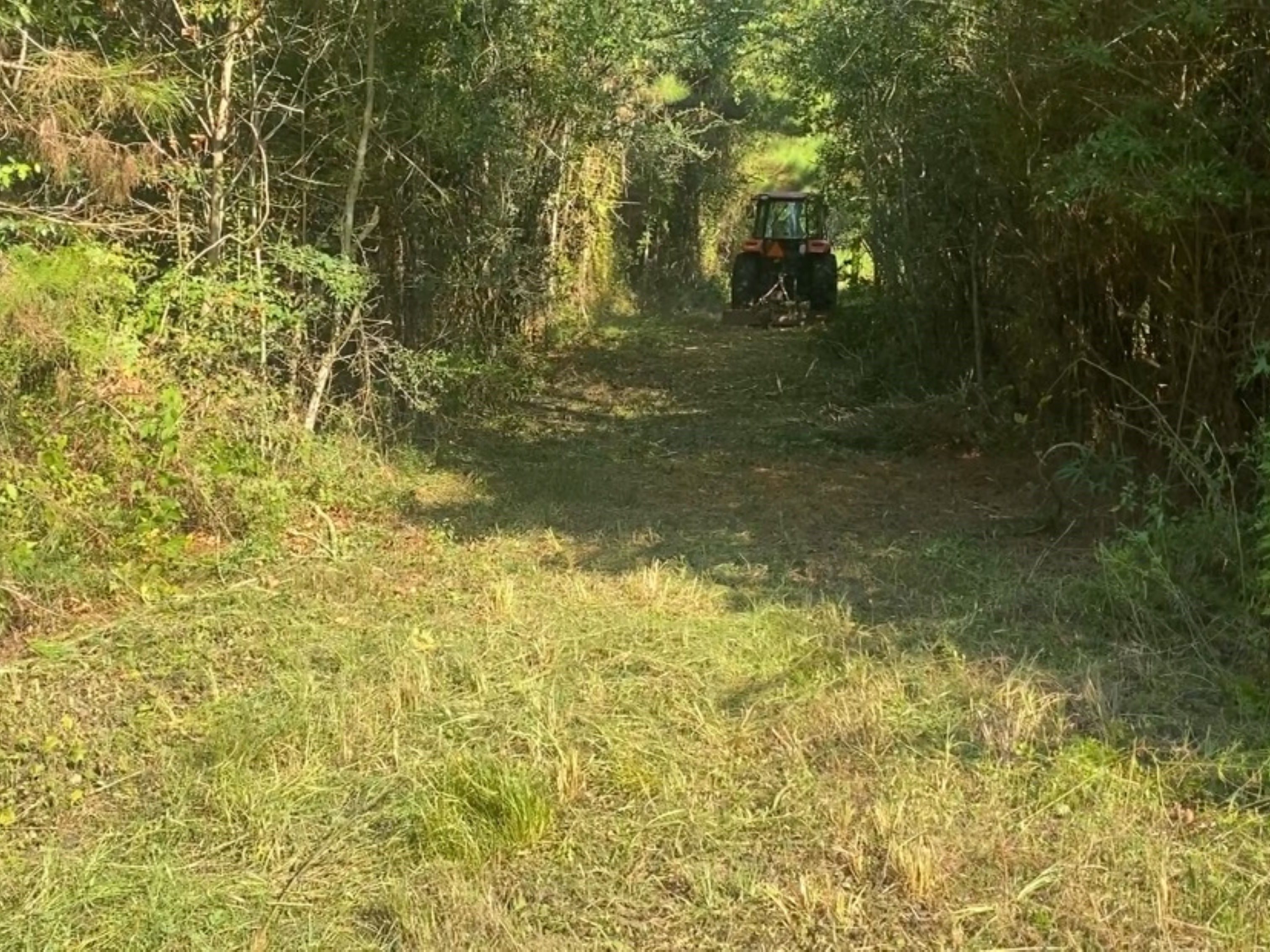Tractor Work – Shooting Lane and Roadside Trimming
