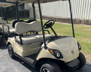 2019 Yamaha Drive2 Gas EFI Golf Cart
