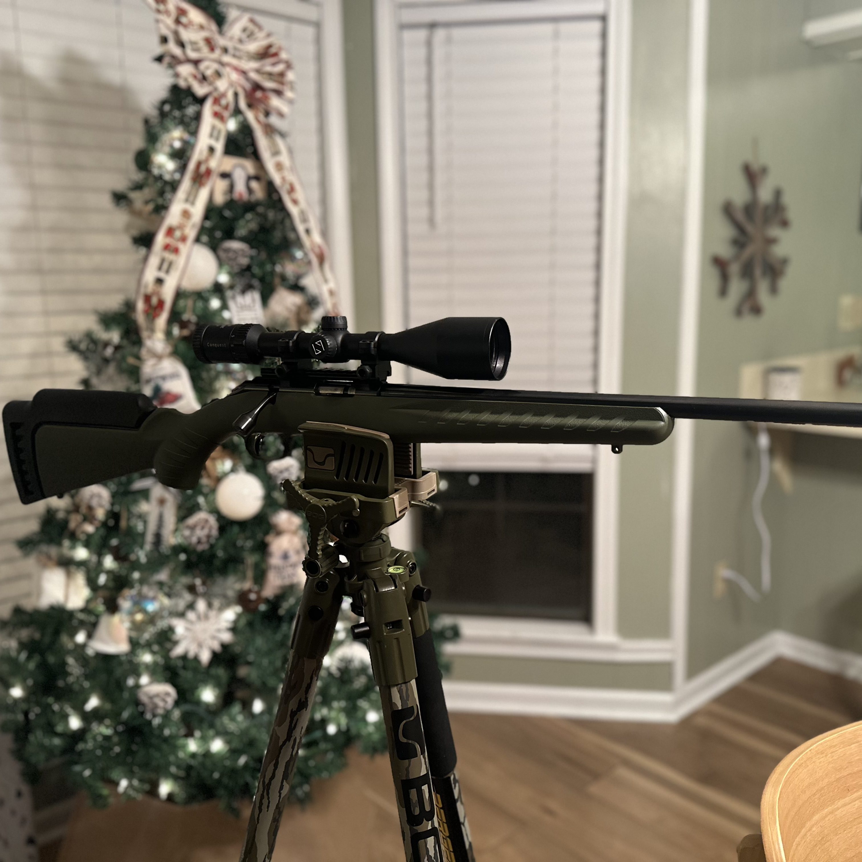 Ruger American 22WMR with Zeiss MC 3.5-10×50