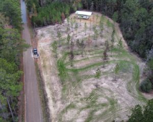 116.5 Acres in Forest Hill, La