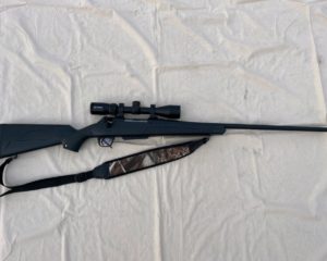 Winchester Model XPR 270