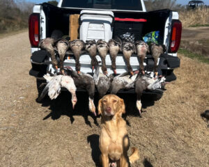 Guided Goose Hunts