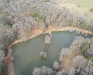 36 Acres & Off Grid Cabin, Centreville Ms – Amite County