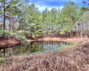 *UNDER CONTRACT* 4.40 AC HWY 24, LIBERTY, MS – $49,000