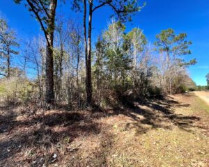 12.83 AC DR ANDERSON ROAD, CENTREVILLE, MS – $69,000