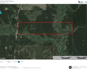 61 Acres with Shop in Amite County, MS