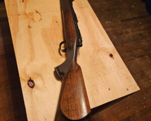 FEBCCC3B-D0B1-4773-89A5-9F71FF3A97D1