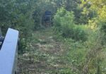 Brush cutting/Land clearing