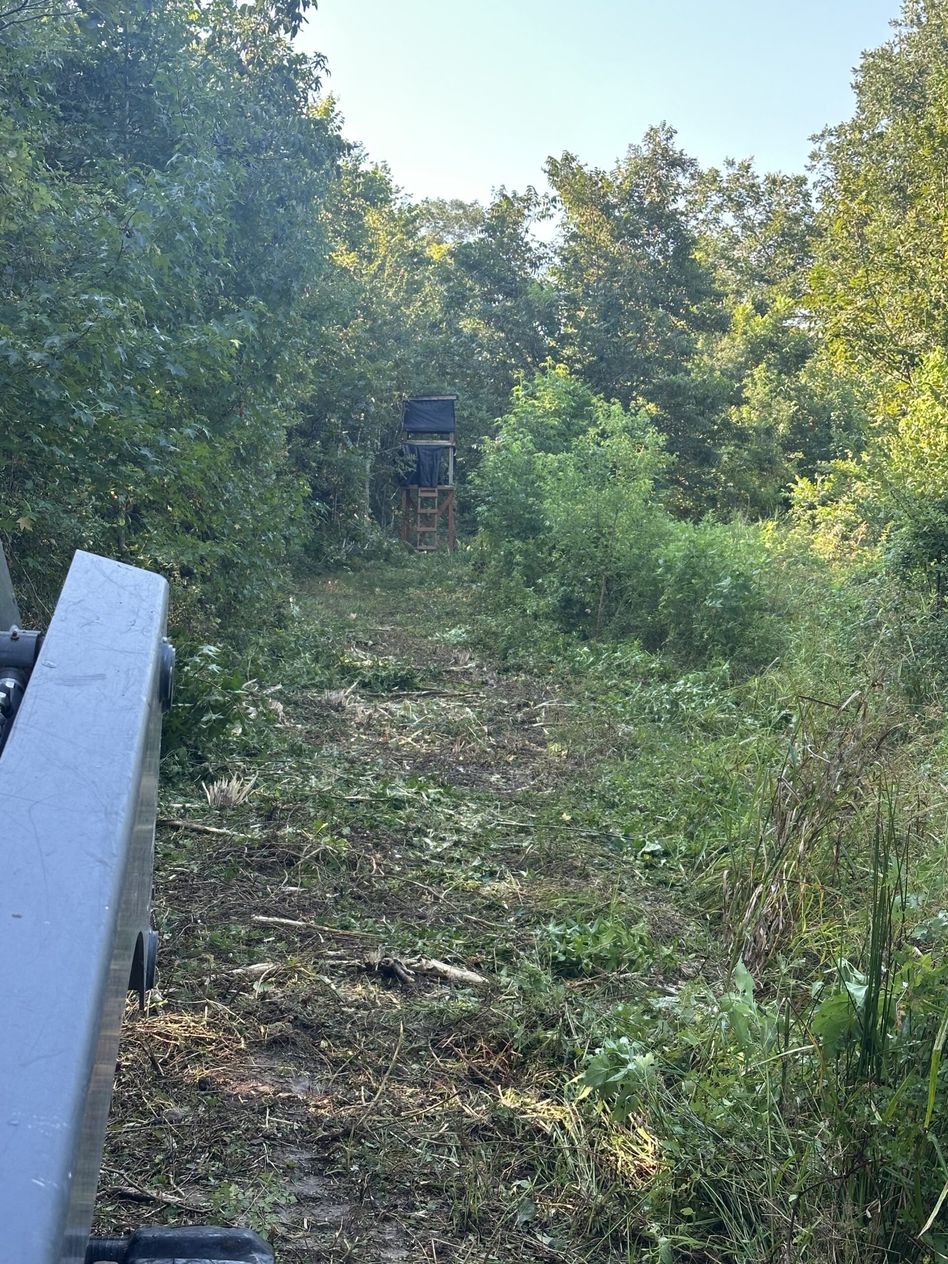 Brush cutting/Land clearing