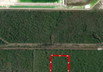 18 AC BAYOU CUMBEST RD, MOSS POINT, MS – $55,000