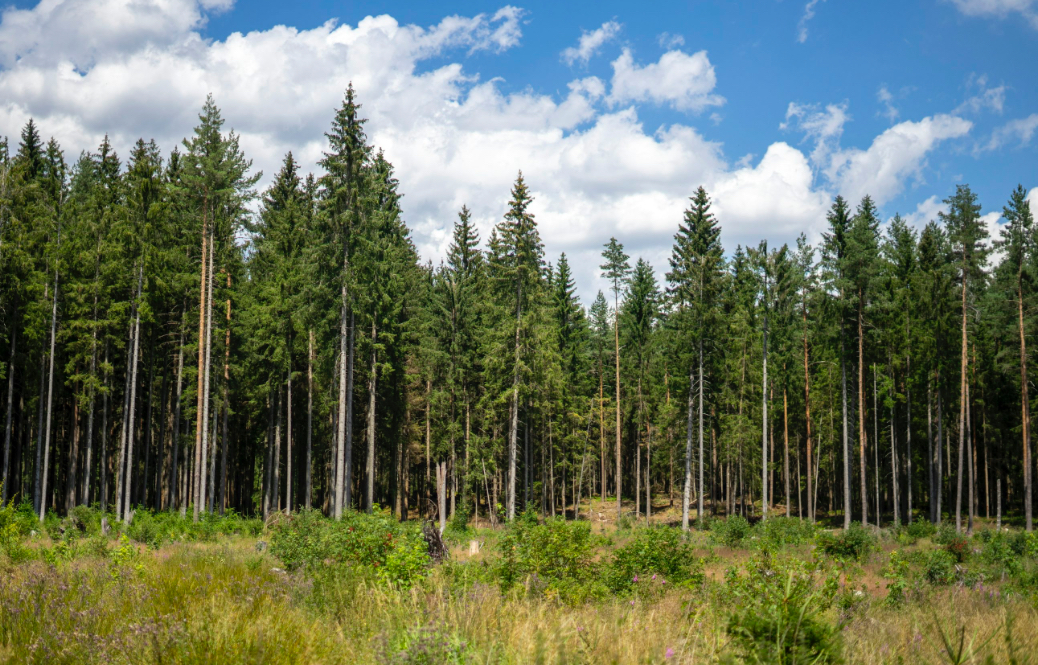 18 AC BAYOU CUMBEST RD, MOSS POINT, MS – $55,000