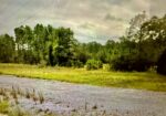 18 AC BAYOU CUMBEST RD, MOSS POINT, MS – $55,000