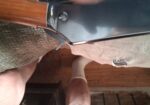 Large gun collection in inherited