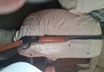Large gun collection in inherited